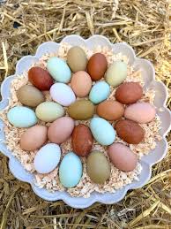 Design-a-Dozen Hatching Eggs 12+2